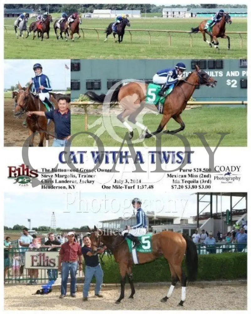 Cat With A Twist - 070314 Race 08 Elp Ellis Park