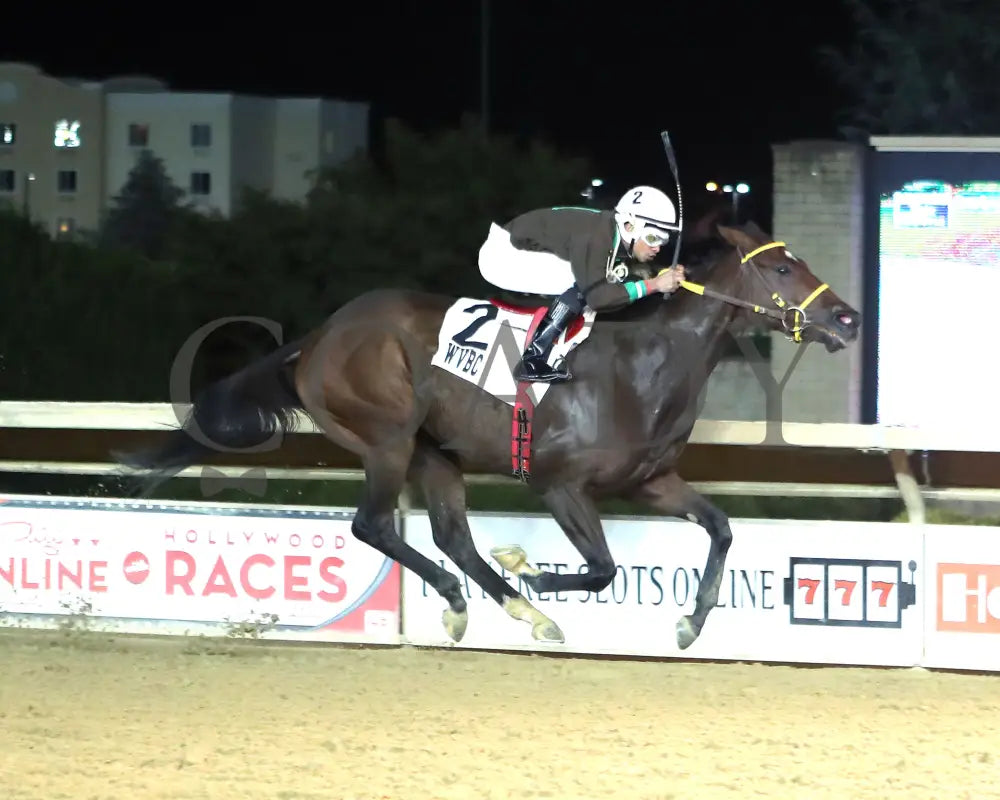 Catch The Humor - West Virginia Russell Road Breeders Classic 10-12-24 R03 Ct Finish 01 Hollywood