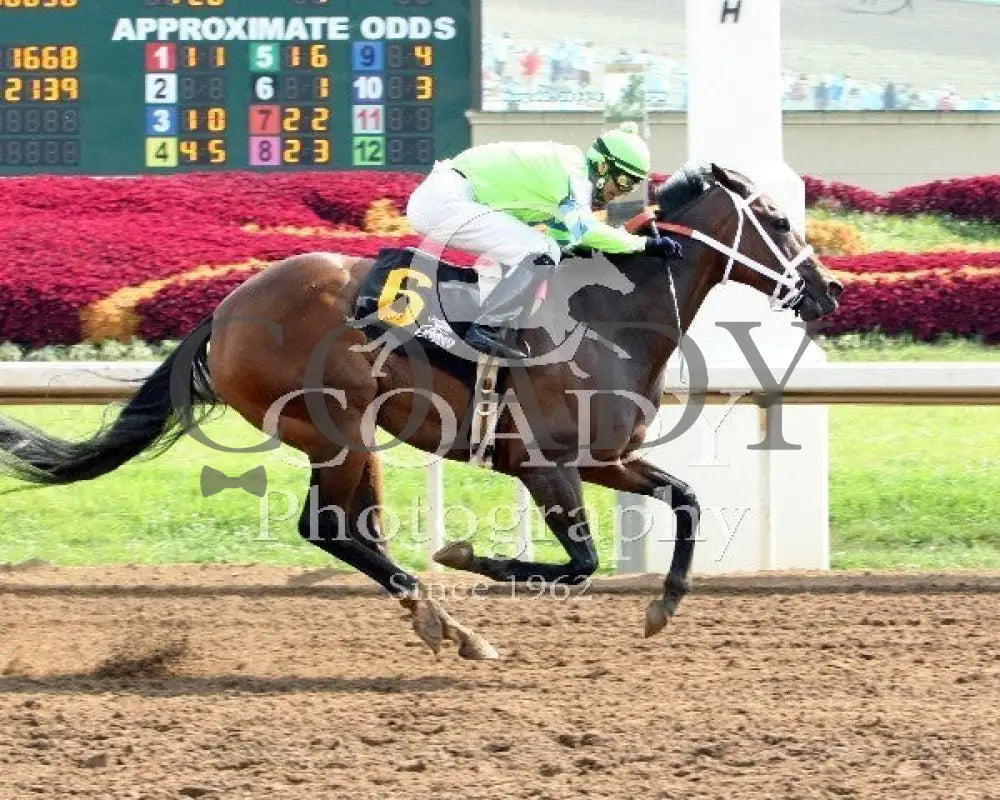 Caviar N Champagne - 081014 Race 07 Btp Belterra Park
