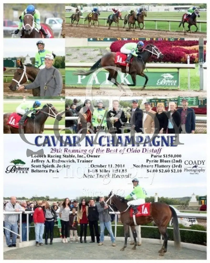 Caviar N Champagne - 101114 Race 07 Btp Belterra Park