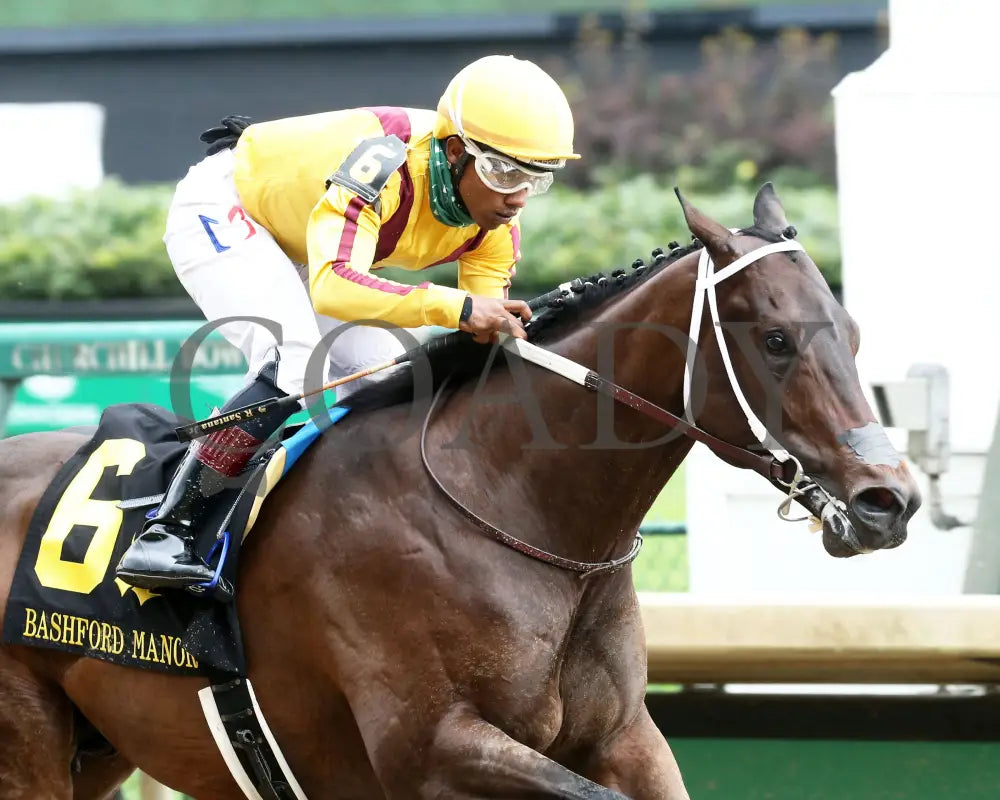 Cazadero - The Bashford Manor G3 119Th Running 06-27-20 R08 Cd Finish 04 Churchill Downs