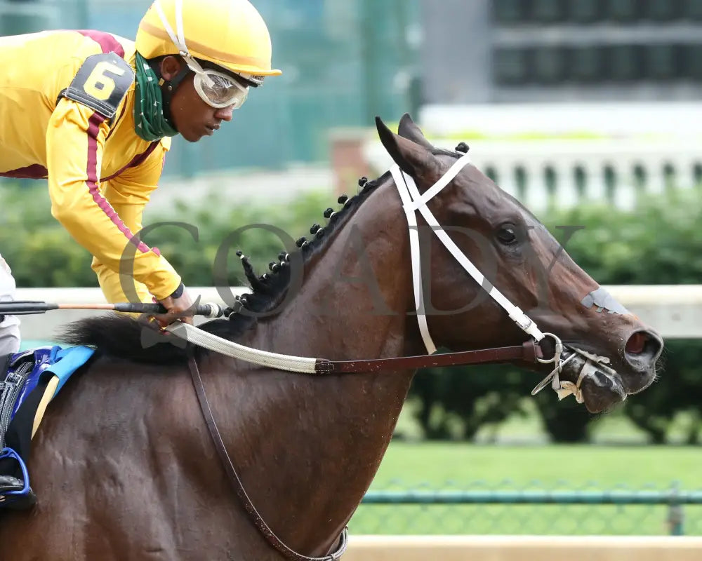 Cazadero - The Bashford Manor G3 119Th Running 06-27-20 R08 Cd Finish 05 Churchill Downs