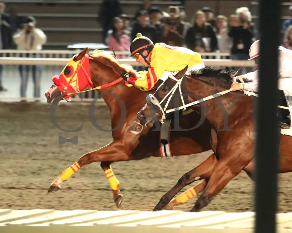 CD FAVORITE LADY - The Downs Fall Quarter Horse Distaff - 10-18-25 - R04 - The Downs at Albuquerque - Finish 02 Downs