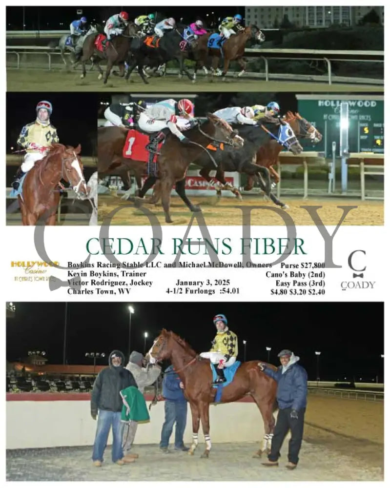 Cedar Runs Fiber - 01-03-25 R05 Ct Hollywood Casino At Charles Town Races