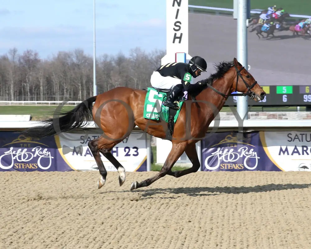 Cellist - Twinspires Kentucky Cup Classic G3 24Th Running 03 - 23 - 24 R10 Turfway Park Finish 01