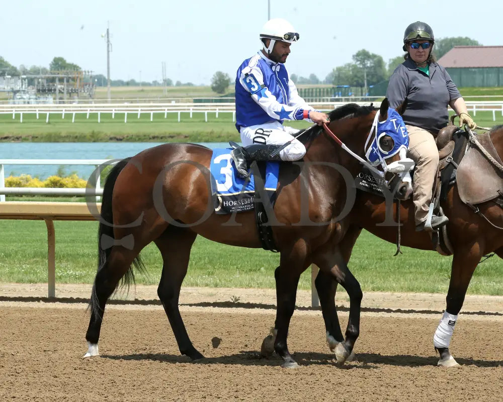 CELTIC CARTEL - Maiden Stakes Final - 05-31-25 - R09 - Horseshoe Indiana - Post Parade 02 - Sammantha Pagels Indiana