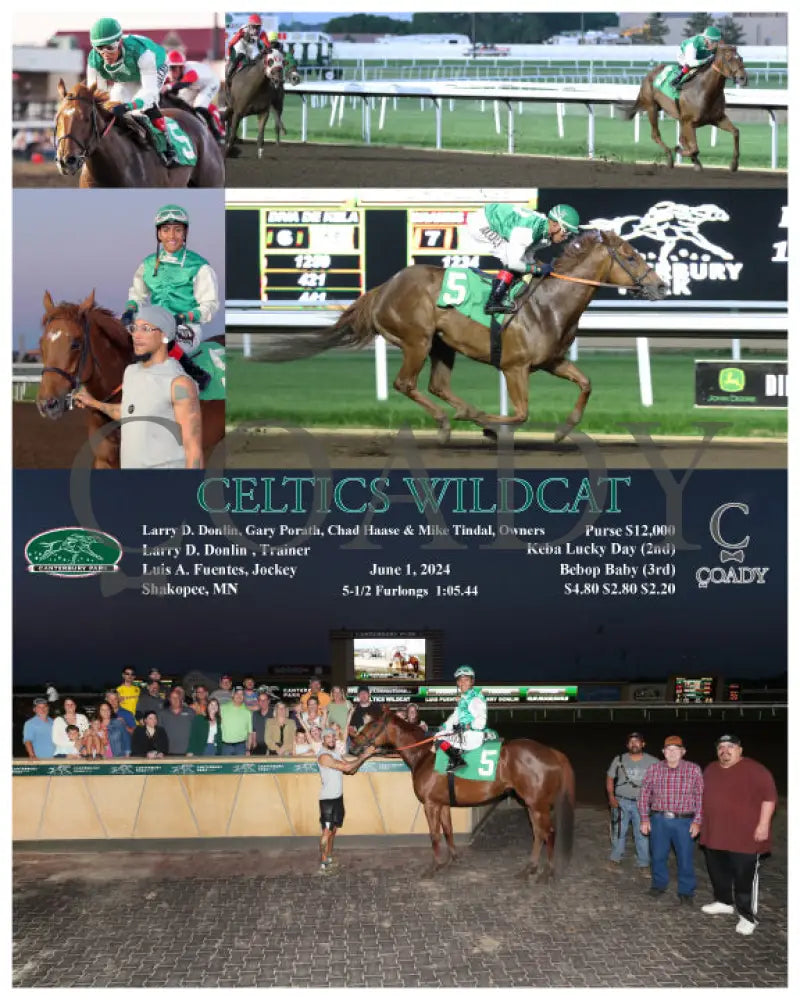 Celtics Wildcat - 06-01-24 R08 Cby Canterbury Park