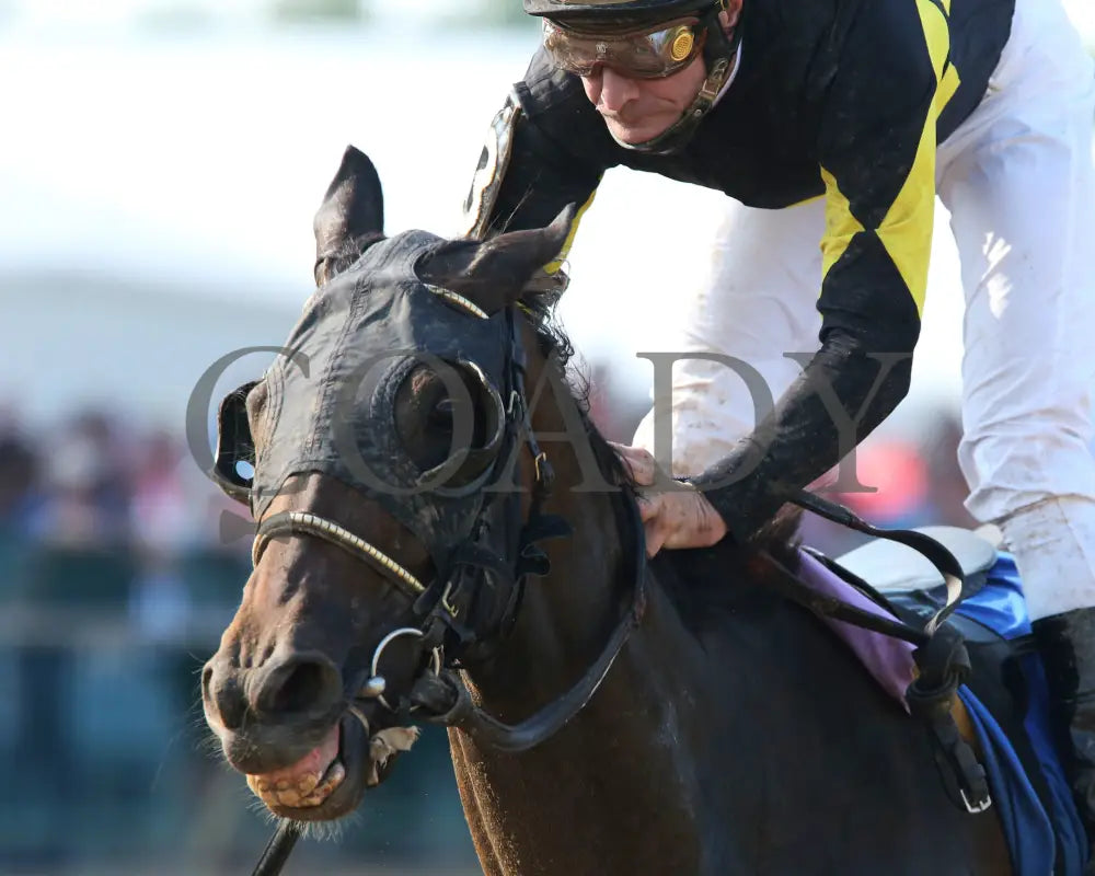 Champange Problems - 081218 Race 09 Elp Inside Finish 04 Ellis Park