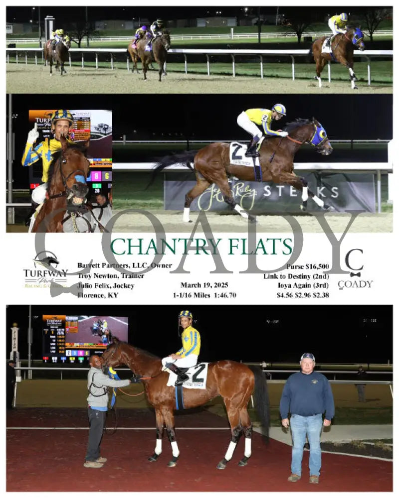 CHANTRY FLATS - 03-19-25 - R07 - TP Turfway Park