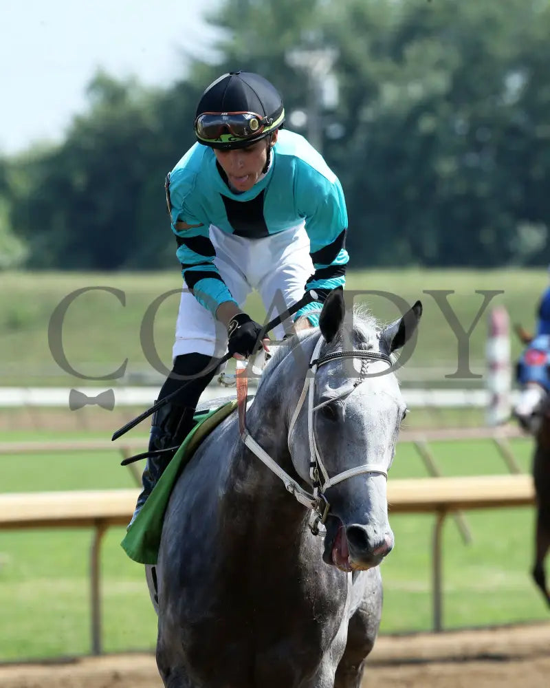 Charcoal - Ky Downs Preview Turf Spring 7Th Running 08-04-24 R07 Elp Come Back 01 Ellis Park