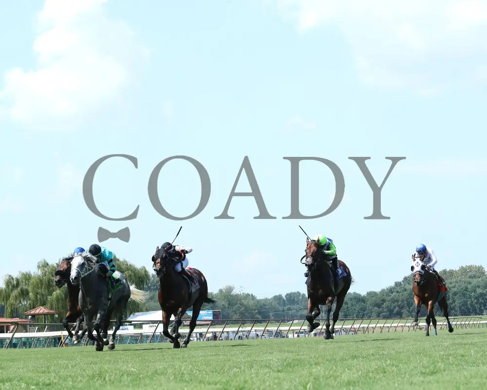 Charcoal - Ky Downs Preview Turf Spring 7Th Running 08-04-24 R07 Elp Under Rail 01 Ellis Park