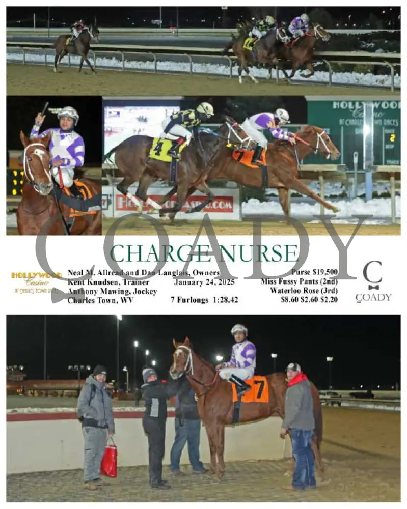 Bull Rider - 01-24-25 R01 Ct Hollywood Casino At Charles Town Races