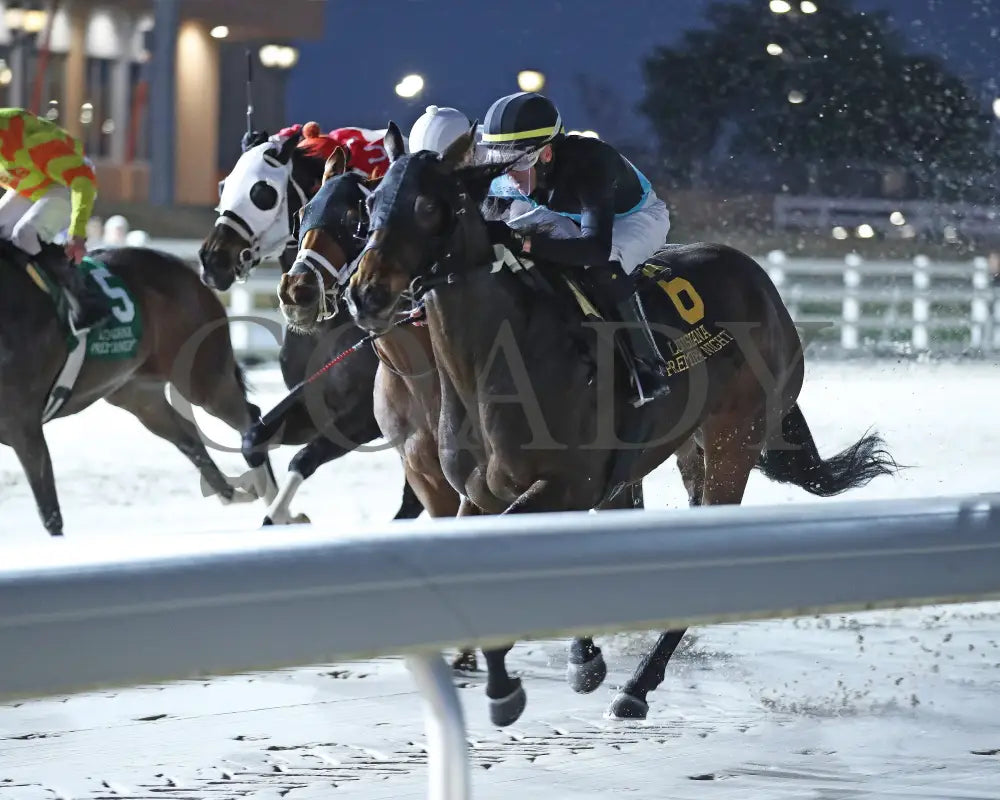 Charlie T - The 20Th Running Of The La Bred Premier Matron 02-03-24 R03 Delta Downs Inside Finish