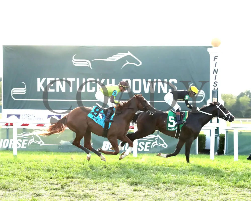 Chasing Liberty - The National Thoroughbred League Juvenile Sprint 09-01-24 R10 Kd Finish 01