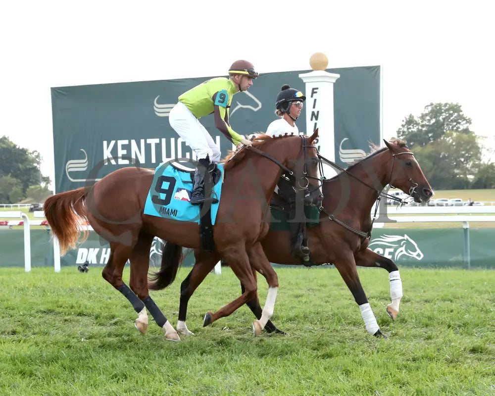 Chasing Liberty - The National Thoroughbred League Juvenile Sprint 09-01-24 R10 Kd Post Parade 01