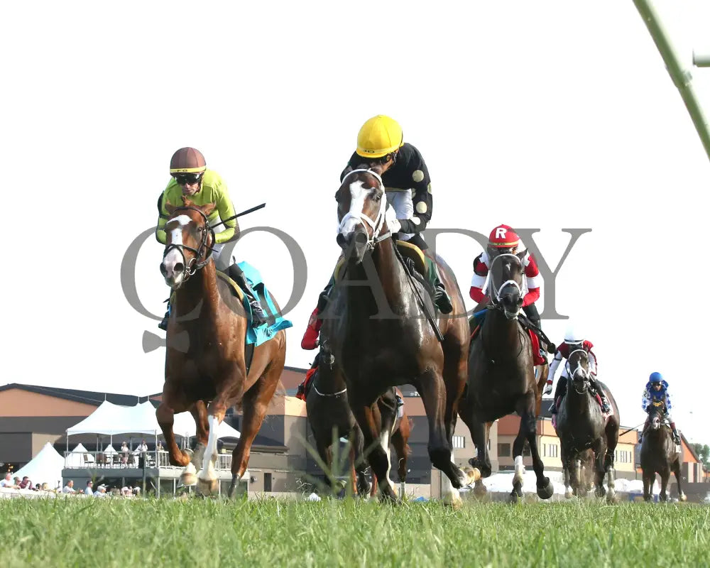 Chasing Liberty - The National Thoroughbred League Juvenile Sprint 09-01-24 R10 Kd Under Rail 01