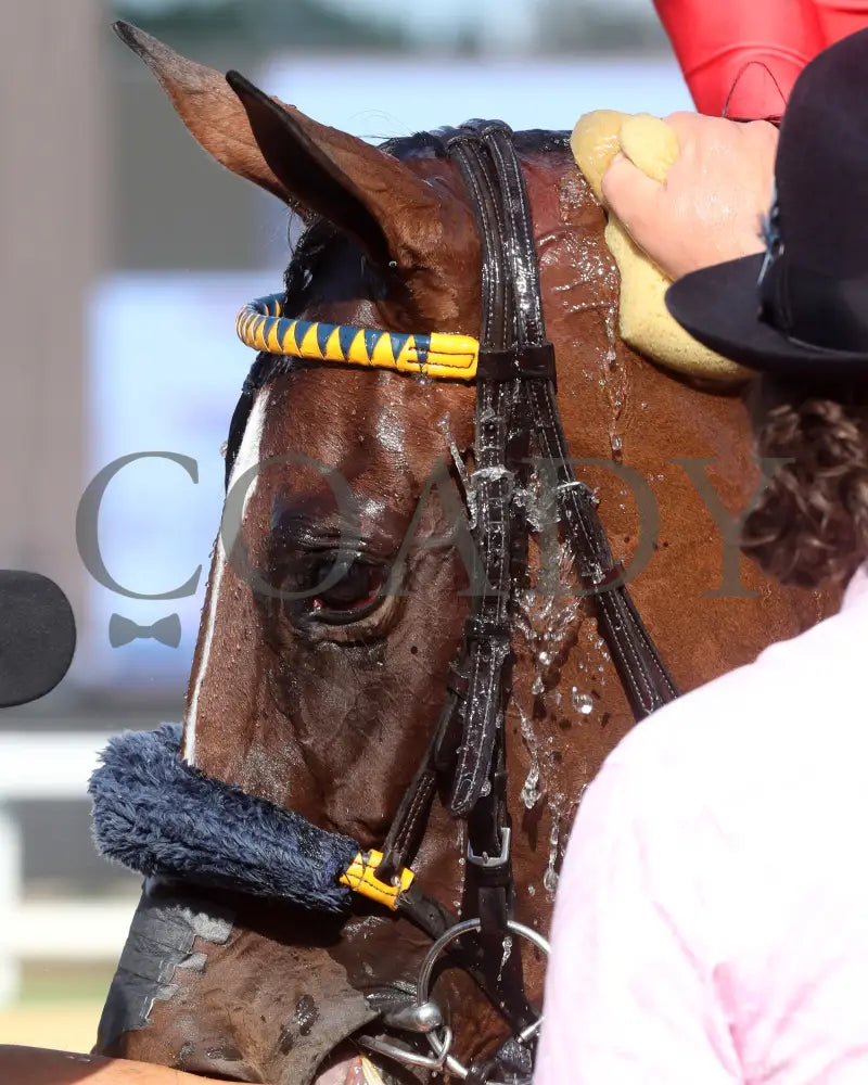 Chatalas - Indiana Oaks 29Th Running G3 07-06-24 R11 Horseshoe Come Back 03 Renee Torbit Grand