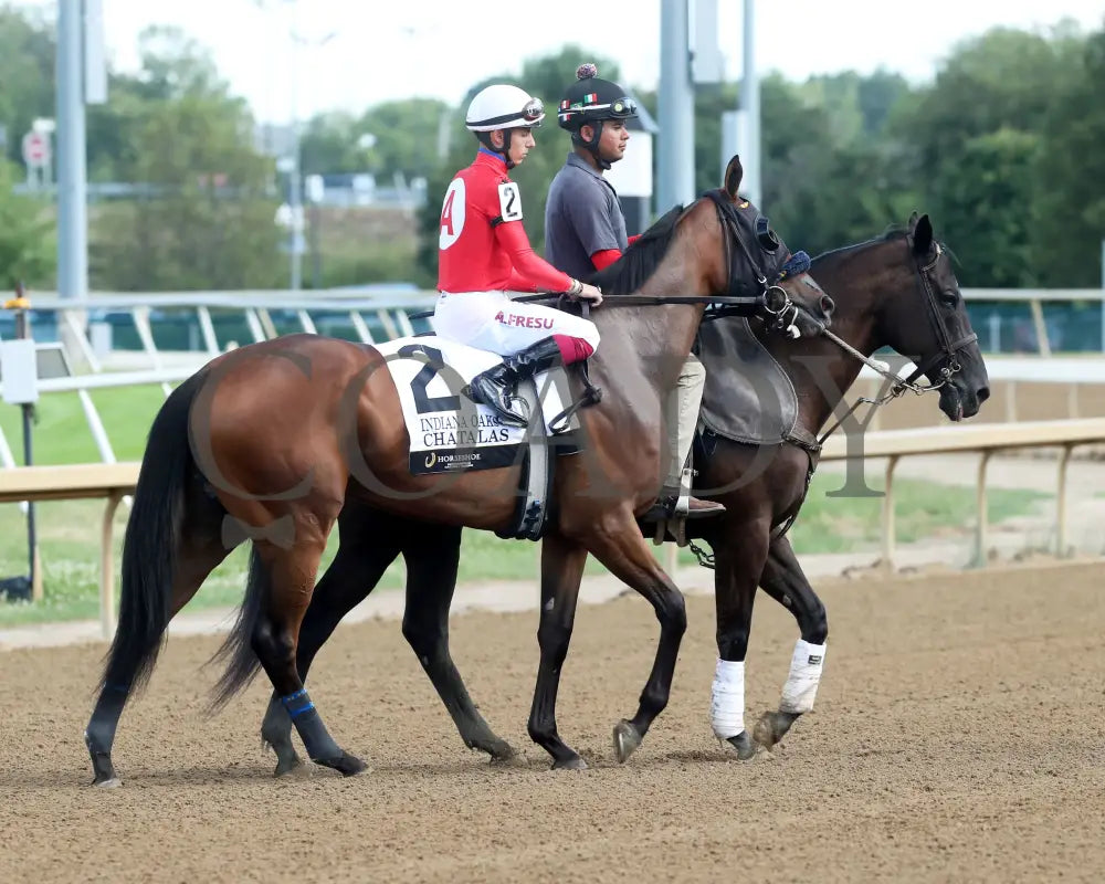 Chatalas - Indiana Oaks 29Th Running G3 07-06-24 R11 Horseshoe Post Parade 03 Renee Torbit Grand