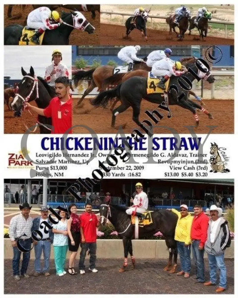 Chickeninthe Straw - 9 22 2009 Zia Park