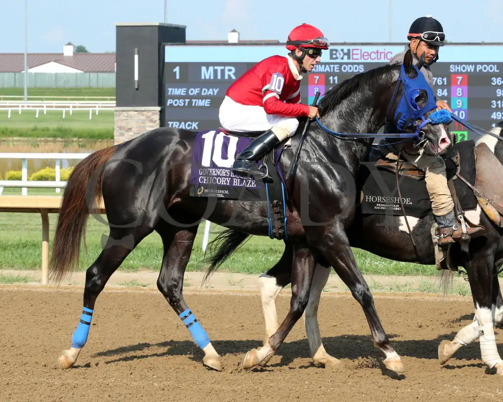 CHICORY BLAZE - The Governor’s Handicap - 22nd Running - 07-30-25 - R08 - Horseshoe Indiana - Post Parade 01