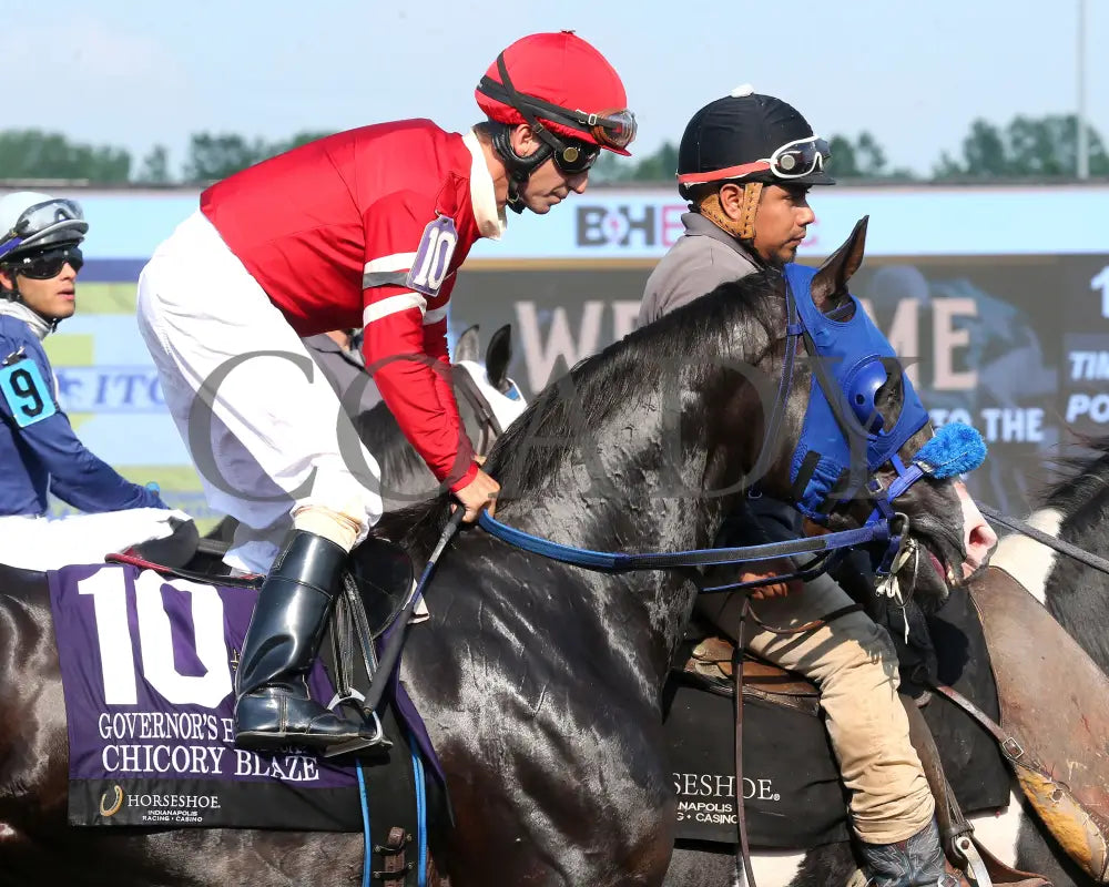 CHICORY BLAZE - The Governor’s Handicap - 22nd Running - 07-30-25 - R08 - Horseshoe Indiana - Post Parade 02