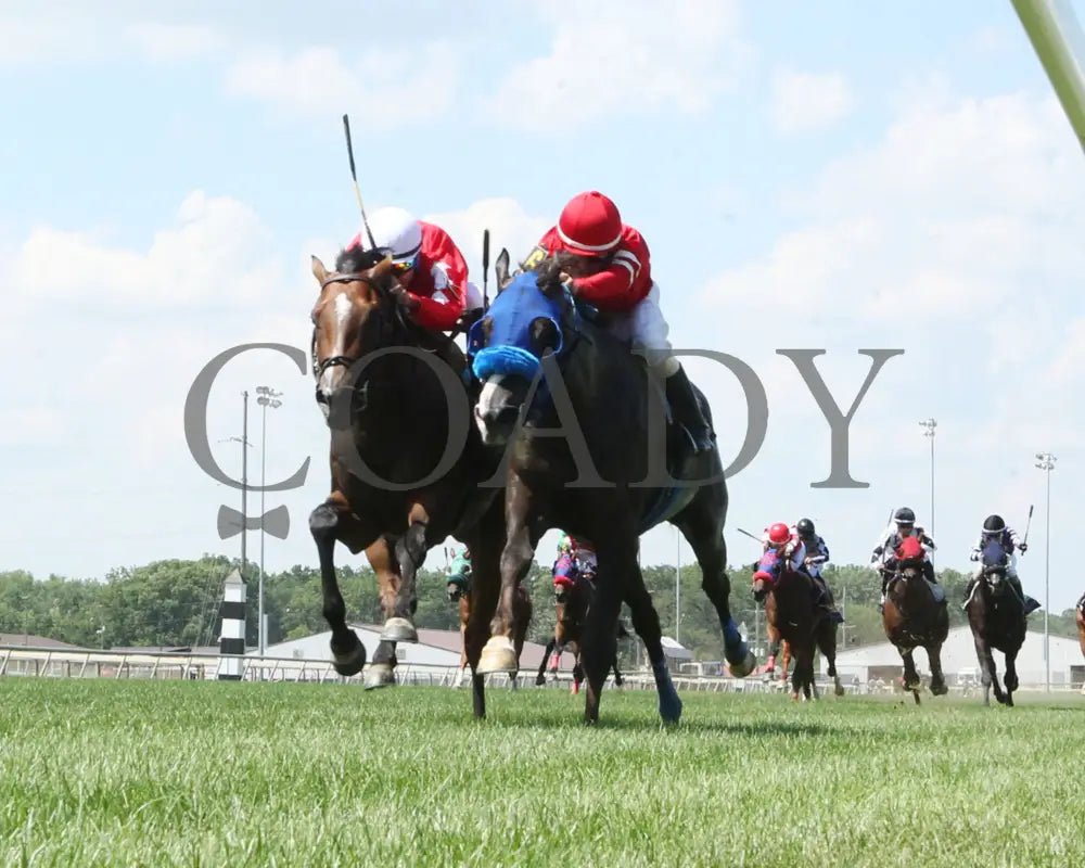 CHICORY BLAZE - The Snack - 07-05-25 - R07 - Horseshoe Indiana - Under Rail 01 - Renee Torbit Indiana Grand