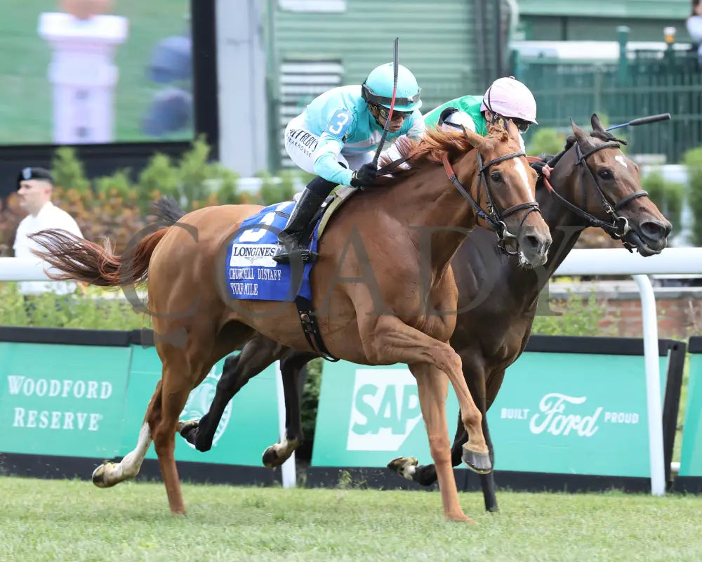 Chili Flag - The Longines Churchill Distaff Turf Mile G2 05-04-24 R07 Downs Finish 02 Renee Torbit