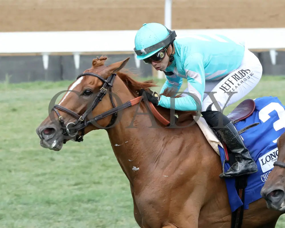 Chili Flag - The Longines Churchill Distaff Turf Mile G2 05-04-24 R07 Downs Inside Finish 01 Jetta