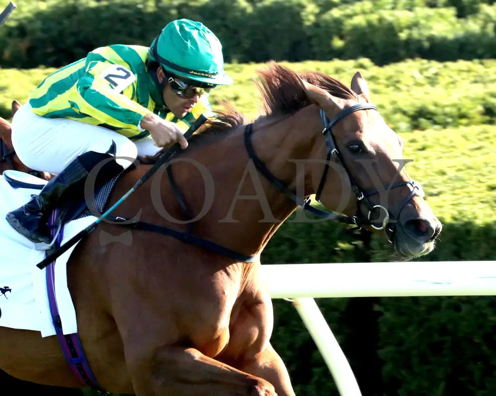 CHOISYA - The Jenny Wiley G1 - 04-12-25 - R10 - KEE - Finish 03 Keeneland