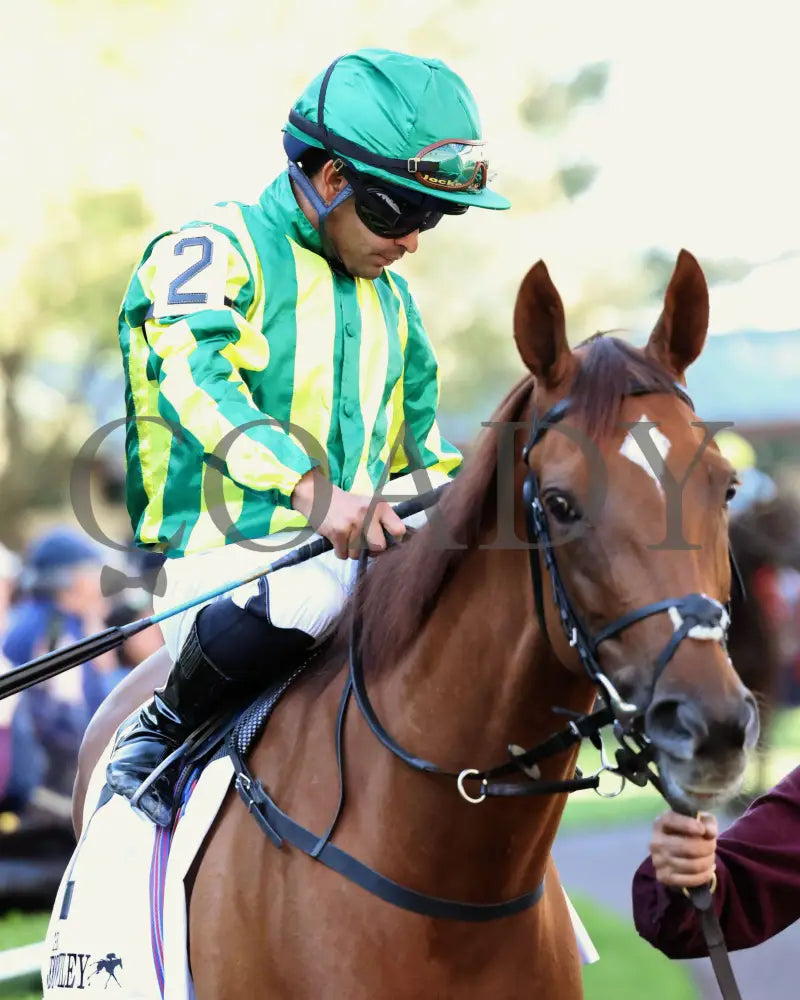 CHOISYA - The Jenny Wiley G1 - 04-12-25 - R10 - KEE - Paddock 01 Keeneland