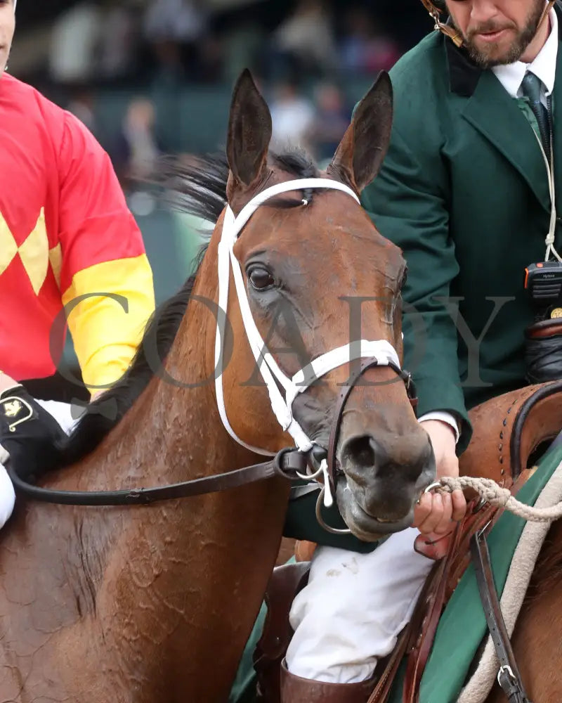 Chop - The Bewitch G3 62Nd Running 04-26-24 R08 Kee Race Course Come Back 01 Keeneland