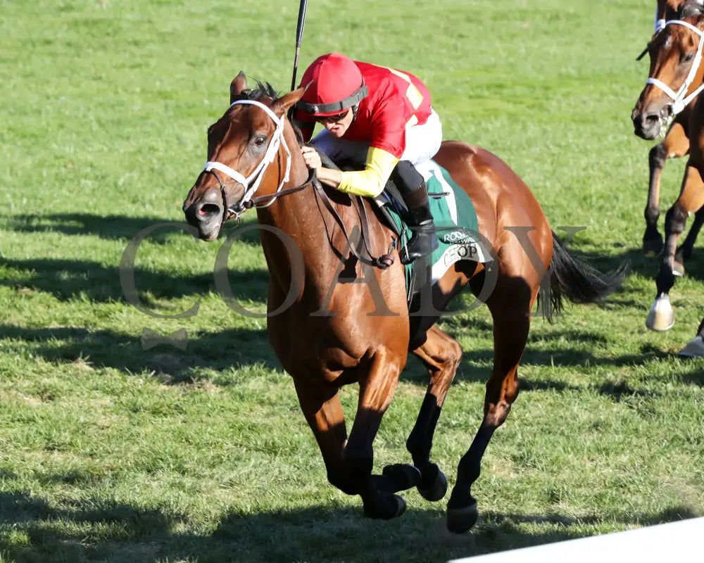 Chop - The Rood & Riddle Dowager G3 10-20-24 R08 Kee Inside Finish 02 Keeneland