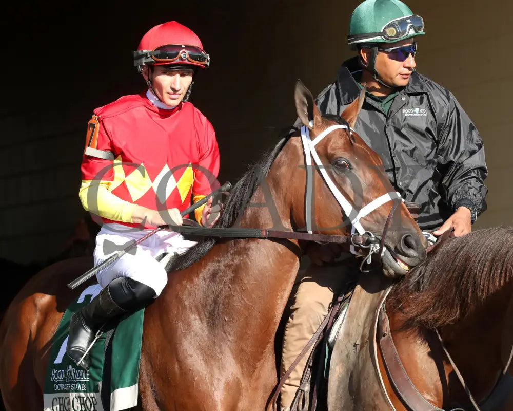 Chop - The Rood & Riddle Dowager G3 10-20-24 R08 Kee Post Parade 02 Keeneland