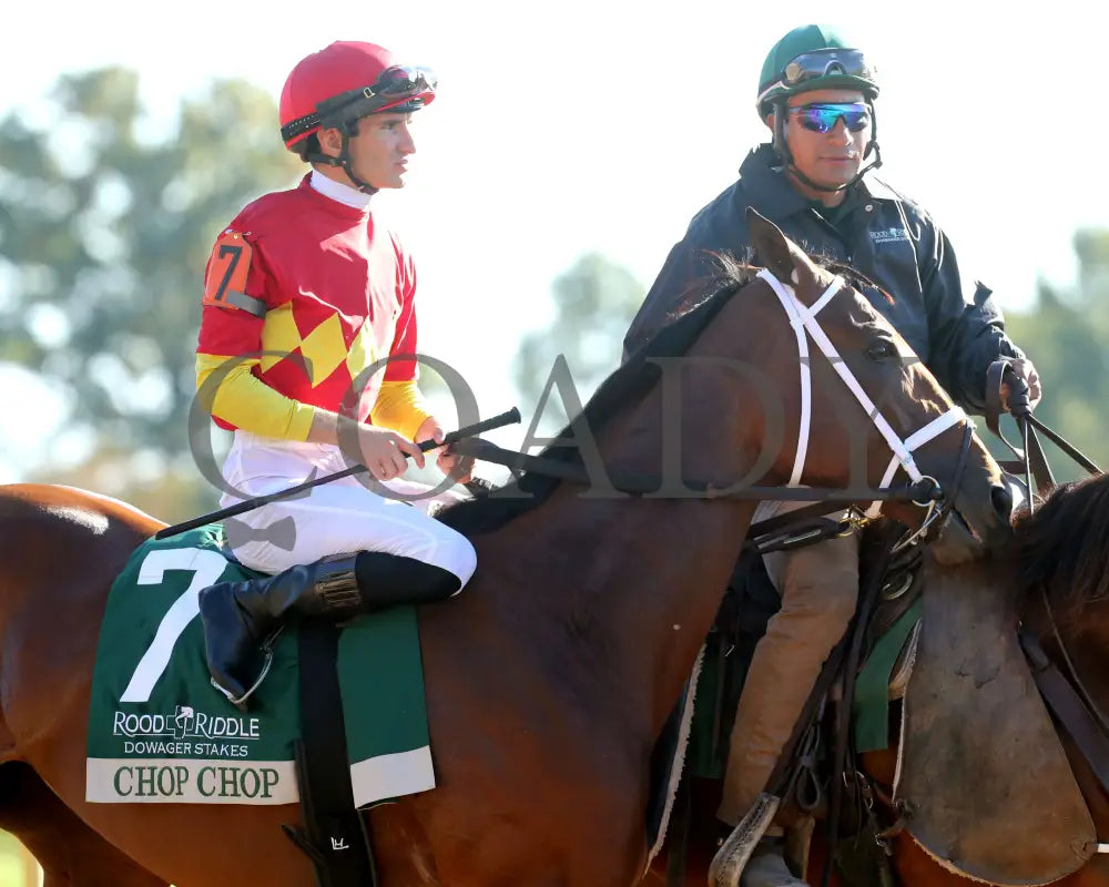 Chop - The Rood & Riddle Dowager G3 10-20-24 R08 Kee Post Parade 03 Keeneland