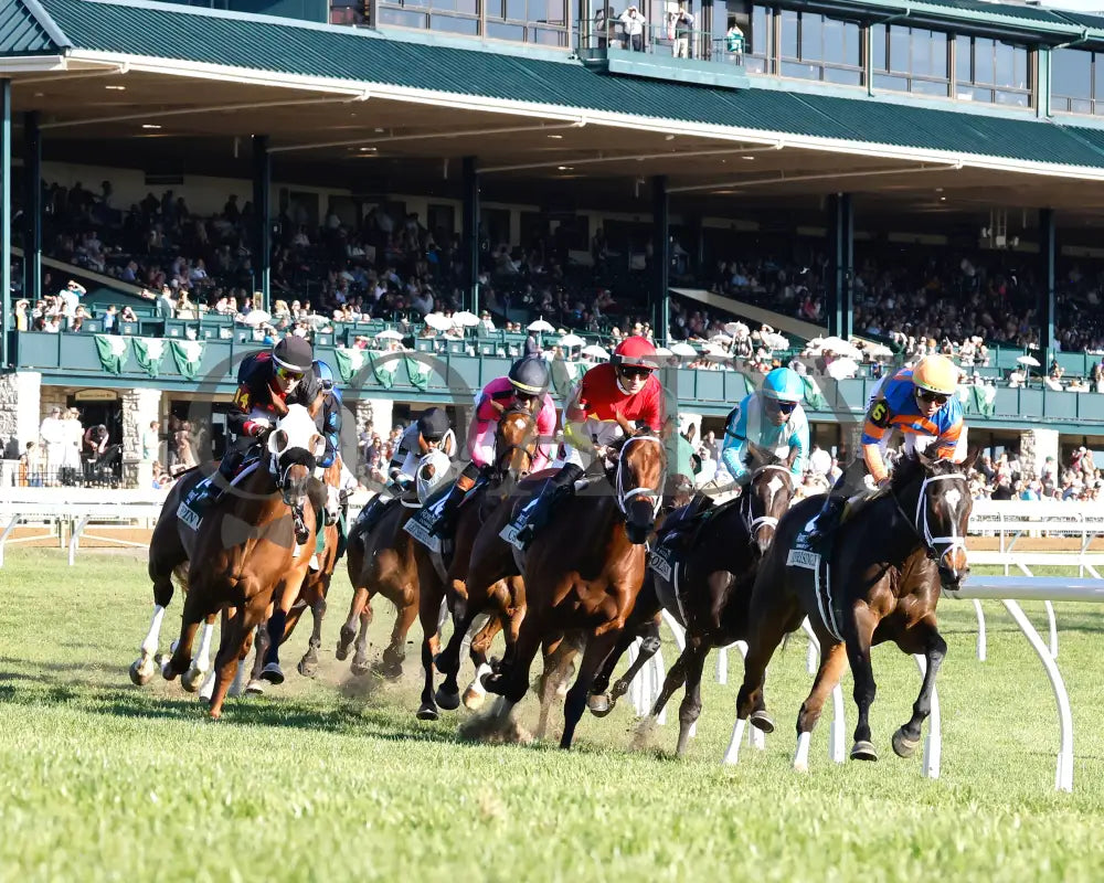 Chop - The Rood & Riddle Dowager G3 10-20-24 R08 Kee Sweeping Turn 02 Keeneland