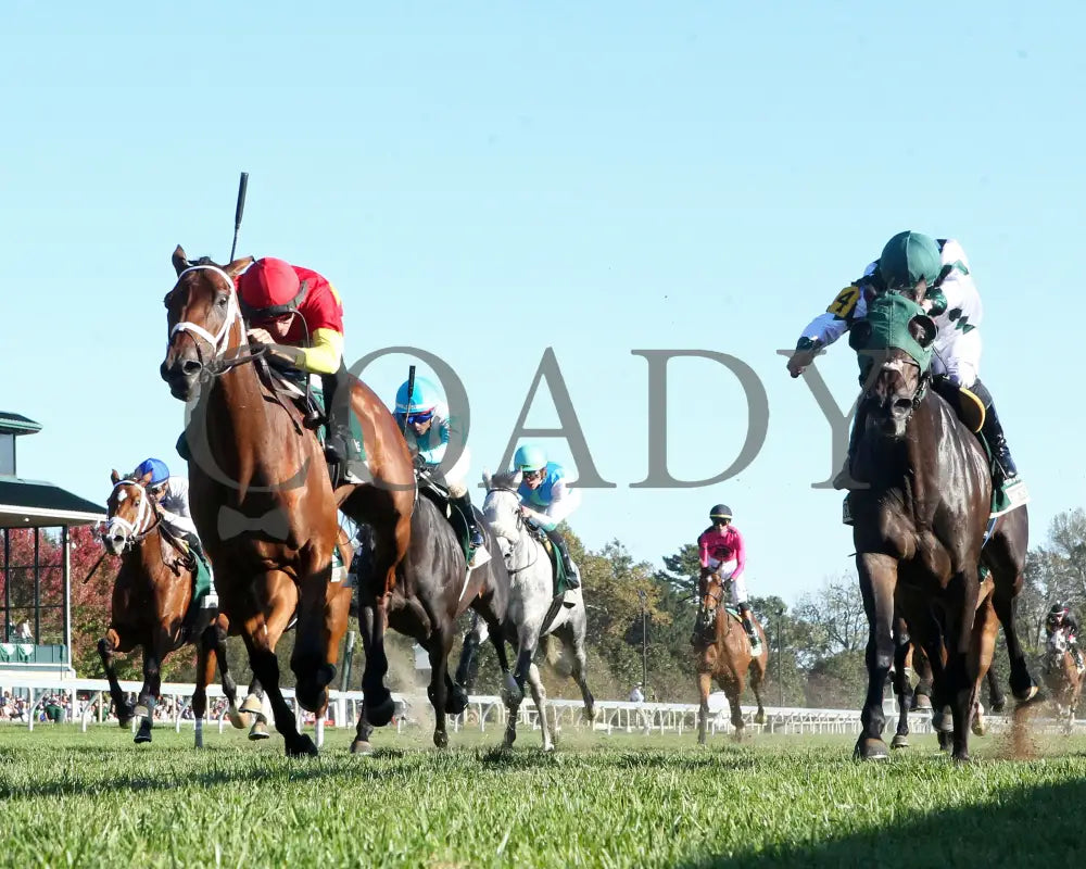 Chop - The Rood & Riddle Dowager G3 10-20-24 R08 Kee Under Rail 01 Keeneland