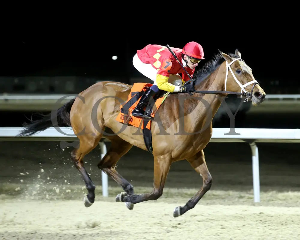 Chop - The Wintergreen 38Th Running 02-24-24 R07 Tp Finish 02 Turfway Park