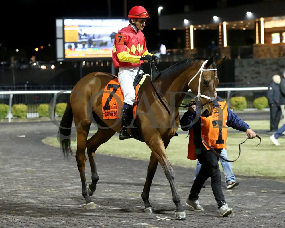 Chop - The Wintergreen 38Th Running 02-24-24 R07 Tp Paddock 01 Turfway Park