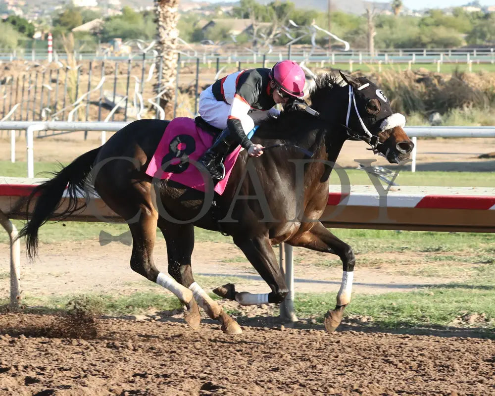 CHUCKANUT BAY - Hank Mills Jr Overnight Handicap - 11-10-25 - R07 - Turf Paradise - Finish Turf Paradise