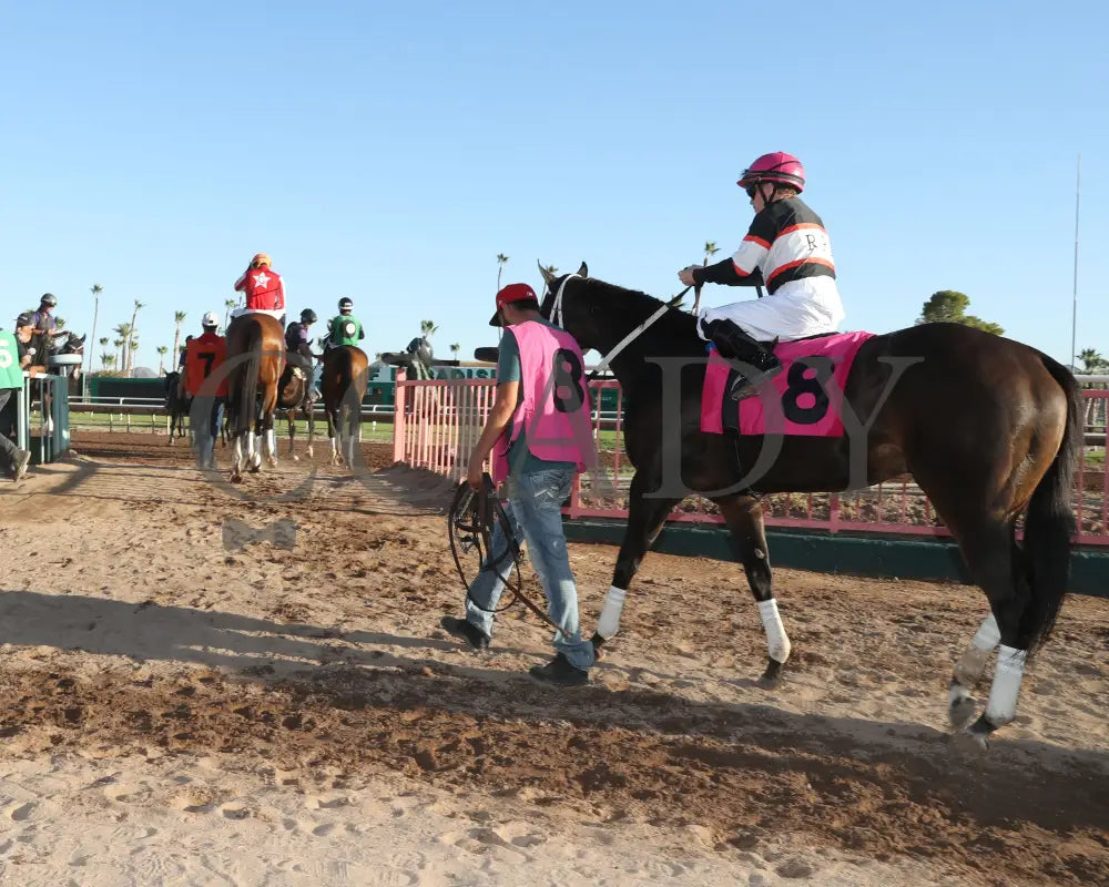 CHUCKANUT BAY - Hank Mills Jr Overnight Handicap - 11-10-25 - R07 - Turf Paradise - Post Parade Turf Paradise