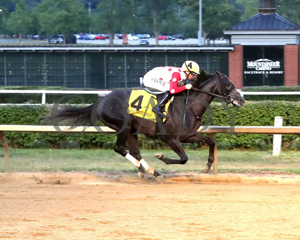 CHUNK OF GOLD - The West Virginia Derby G3 - 08-03-25 - R08 - MNR - Finish 01 Mountaineer Park