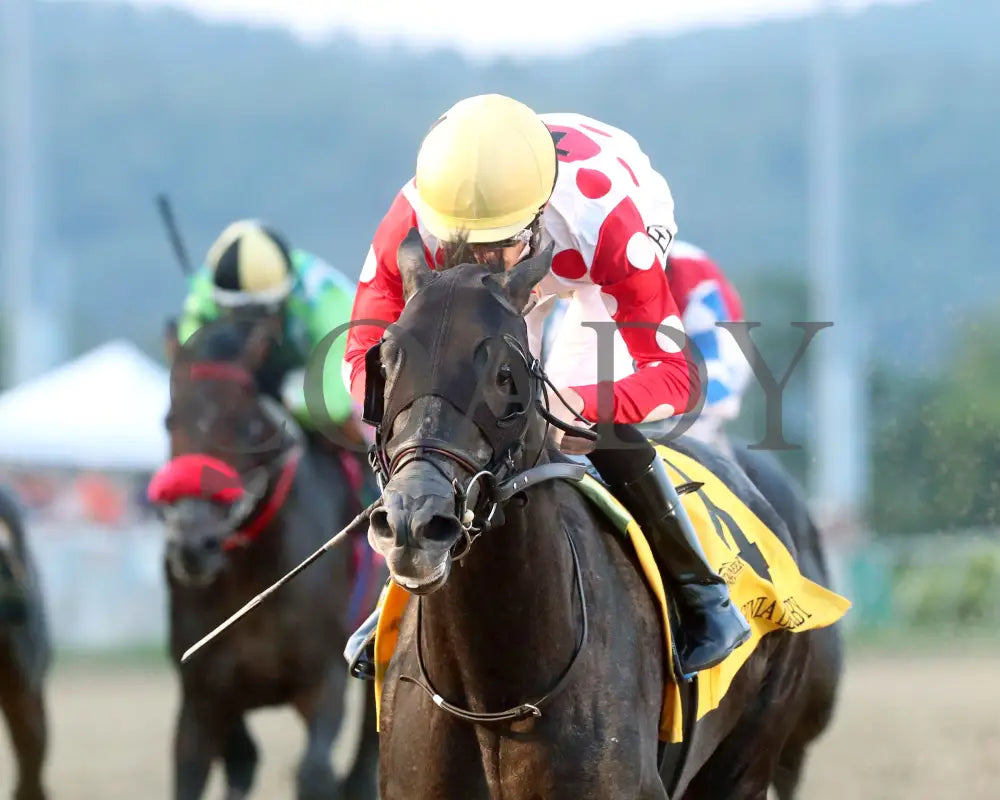 CHUNK OF GOLD - The West Virginia Derby G3 - 08-03-25 - R08 - MNR - Inside Finish 01 Mountaineer Park