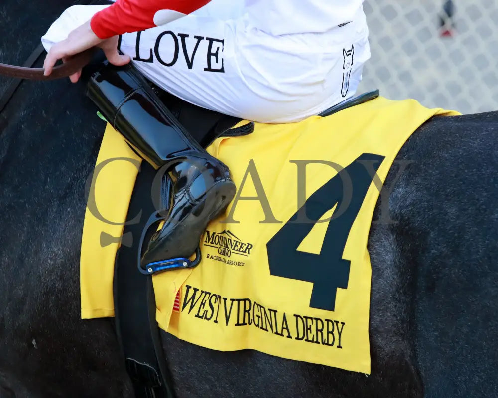 CHUNK OF GOLD - The West Virginia Derby G3 - 08-03-25 - R08 - MNR - Post Parade 03 Mountaineer Park