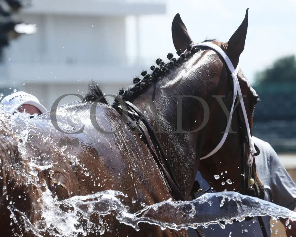 Clearly Unhinged - 05-27-24 R08 Cd Bath 01 Churchill Downs