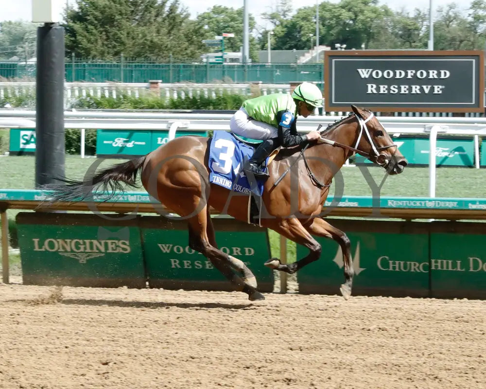 Clearly Unhinged - 05-27-24 R08 Cd Finish 01 Churchill Downs