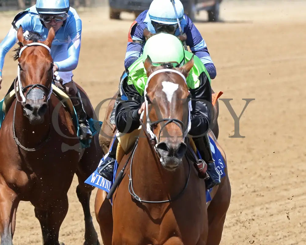 Clearly Unhinged - 05-27-24 R08 Cd Inside Finish 01 Churchill Downs