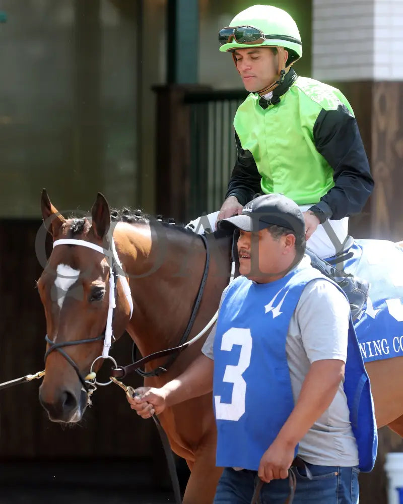 Clearly Unhinged - 05-27-24 R08 Cd Paddock 02 Churchill Downs