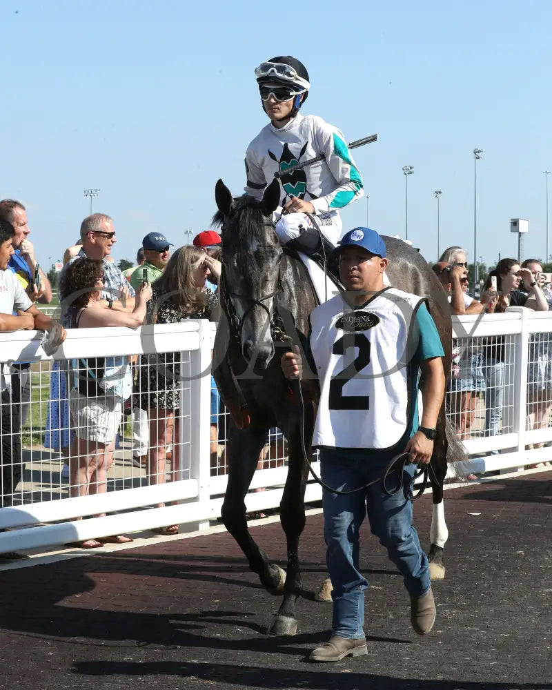 CLICQUOT - Daily Racing Form Indiana Oaks - G3 - 07-05-25 - R11 - Horseshoe Indiana - Paddock 01 - Ashleigh Schlitt