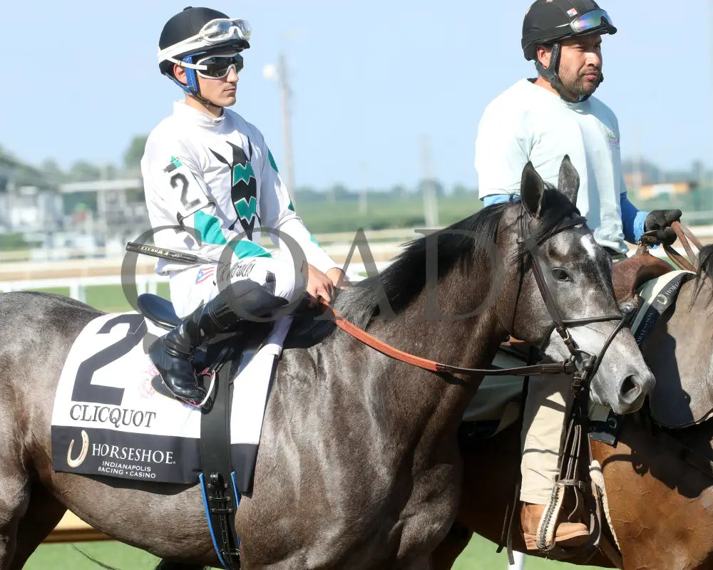 CLICQUOT - Daily Racing Form Indiana Oaks - G3 - 07-05-25 - R11 - Horseshoe Indiana - Post Parade 01 - Renee Torbit