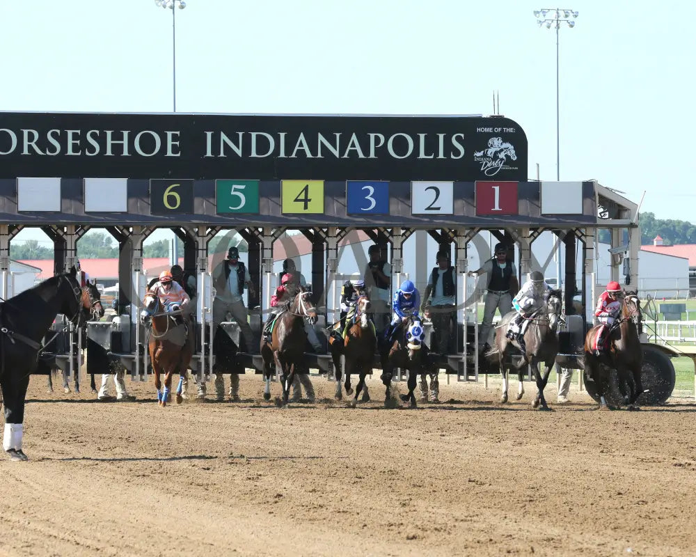 CLICQUOT - Daily Racing Form Indiana Oaks - G3 - 07-05-25 - R11 - Horseshoe Indiana - Start 01 - Samantha Pagels